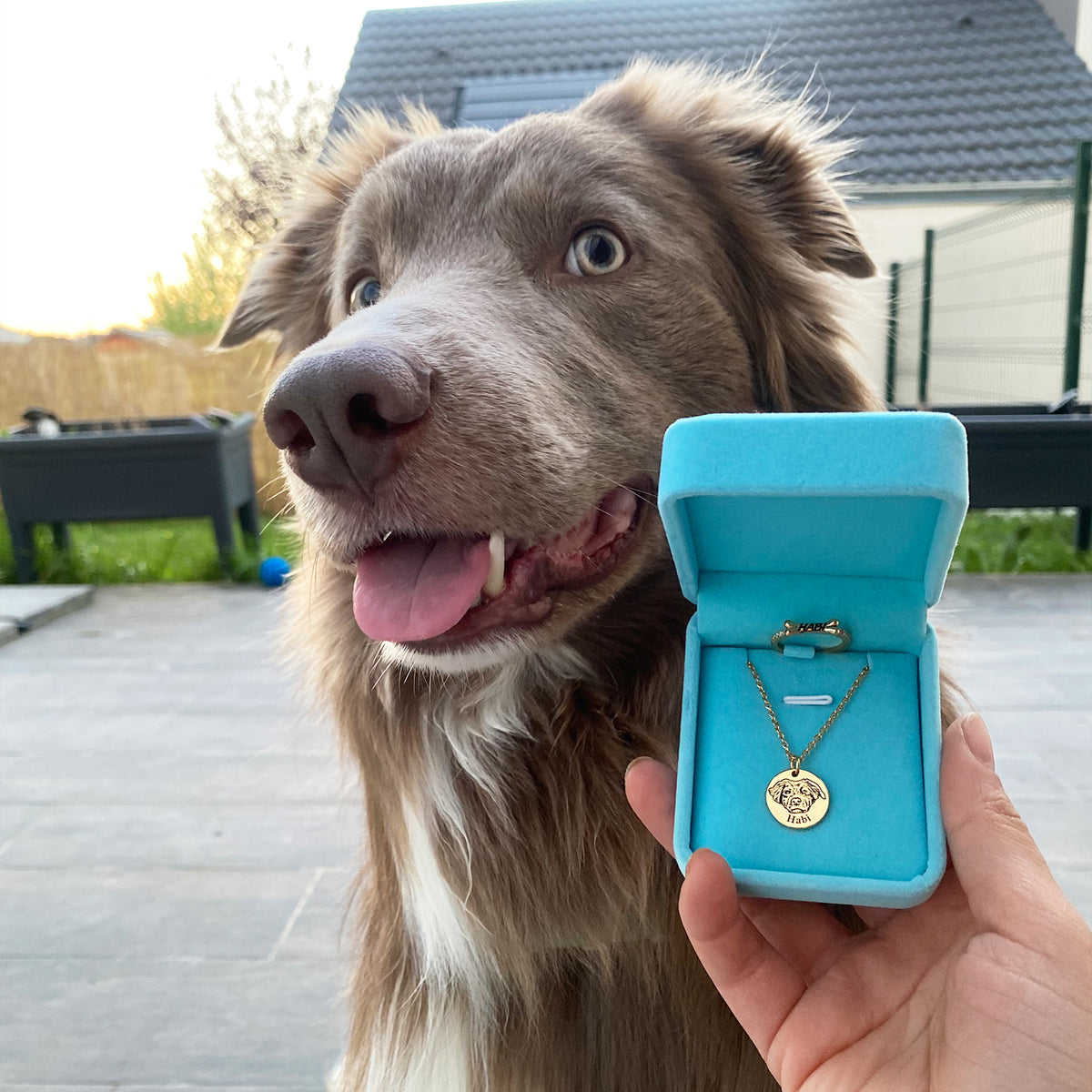 Evcil Hayvan Portre Kolyesi